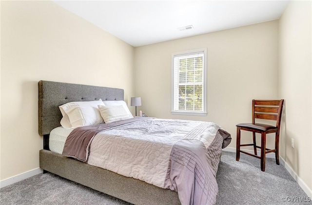 5773 S Jessup Rd, Chesterfield, VA 23832 - bedroom with carpet and baseboards
