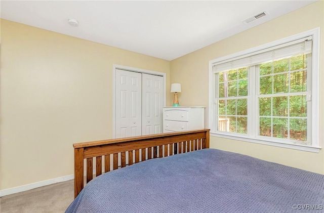 5773 S Jessup Rd, Chesterfield, VA 23832 - bedroom with carpet and a closet