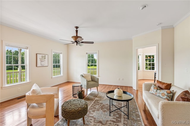 6125 Trinity Church Rd, Dinwiddie, VA 23833 - living room featuring ornamental molding, light wood-type flooring, and ceiling fan