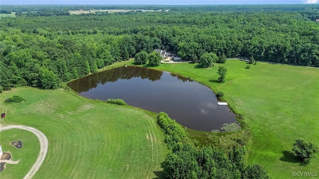 6125 Trinity Church Rd, Dinwiddie, VA 23833 - drone / aerial view of a large body of water and a forest