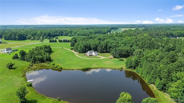 6125 Trinity Church Rd, Dinwiddie, VA 23833 - drone / aerial view of a large body of water and a heavily wooded area