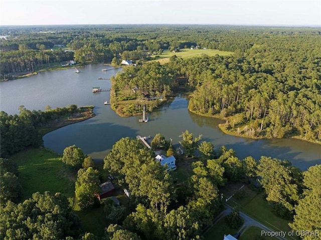 186 Bay Shore Point Rd, Port Haywood, VA 23138 - view of property location with a forest and a nearby body of water