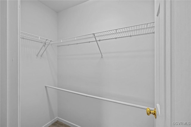 842 Parkland Pl, Henrico, VA 23059 - photo 26