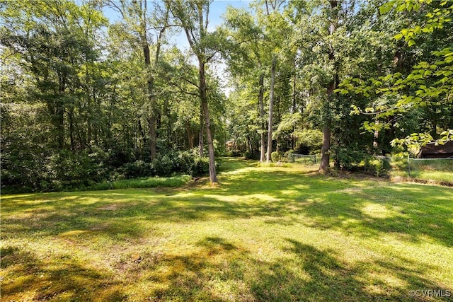 4310 Courthouse Rd, Prince George, VA 23875 - view of yard