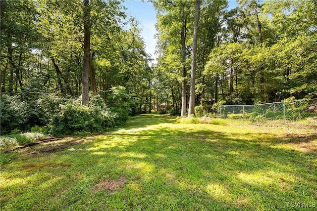 4310 Courthouse Rd, Prince George, VA 23875 - view of yard