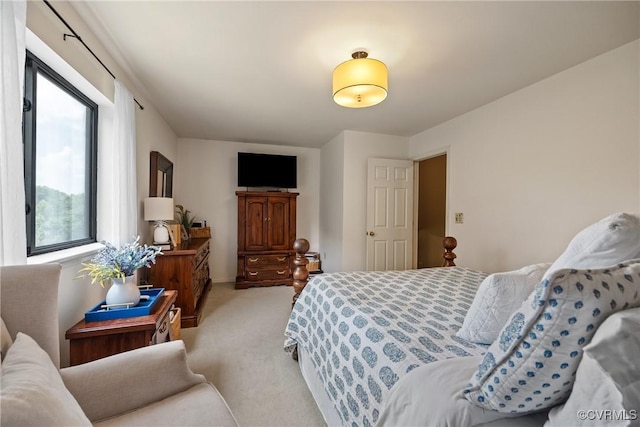 275 Meadowview Ln, Farmville, VA 23901 - bedroom featuring light colored carpet
