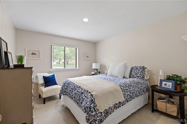 275 Meadowview Ln, Farmville, VA 23901 - bedroom featuring light carpet and recessed lighting