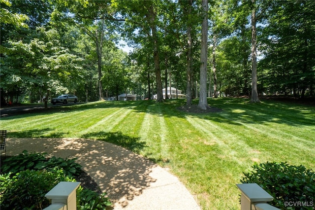 12001 Buckhorn Rd, Chesterfield, VA 23838 - view of green lawn featuring view of scattered trees
