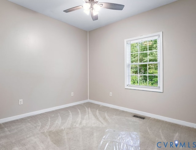 14564 Meade Rd, Amelia Courthouse, VA 23002 - photo 22