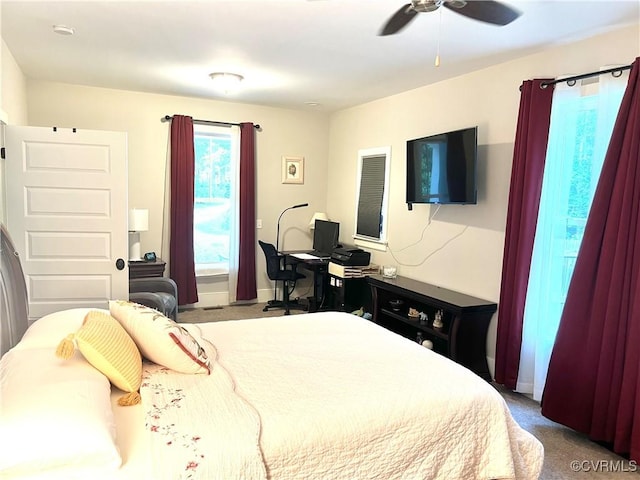 11159 Broken Bit Ln, Ashland, VA 23005 - photo 12