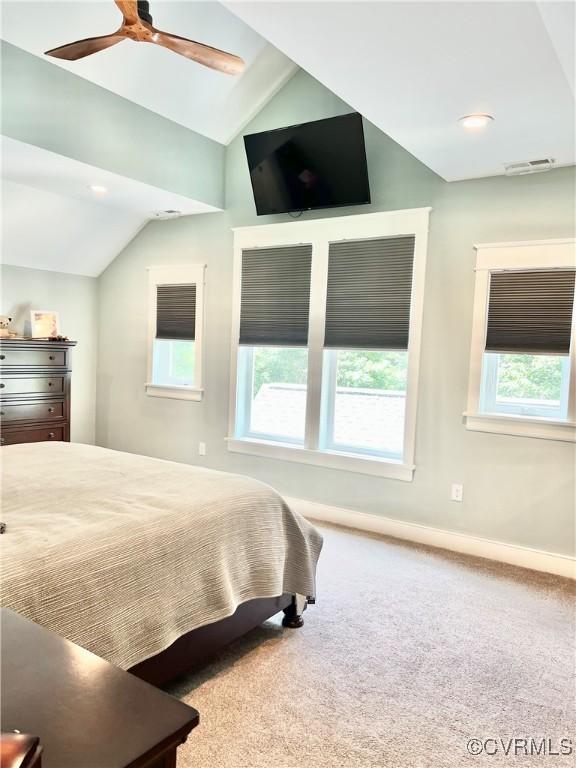 11159 Broken Bit Ln, Ashland, VA 23005 - photo 27