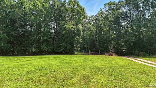 1822 Baughan Rd, Meherrin, VA 23954 - photo 38