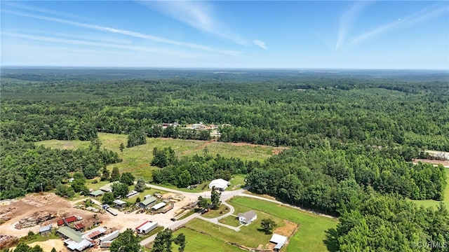 1822 Baughan Rd, Meherrin, VA 23954 - photo 49