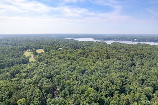 3211 Fox Chase Dr, Midlothian, VA 23112 - aerial view of a forest and a nearby body of water