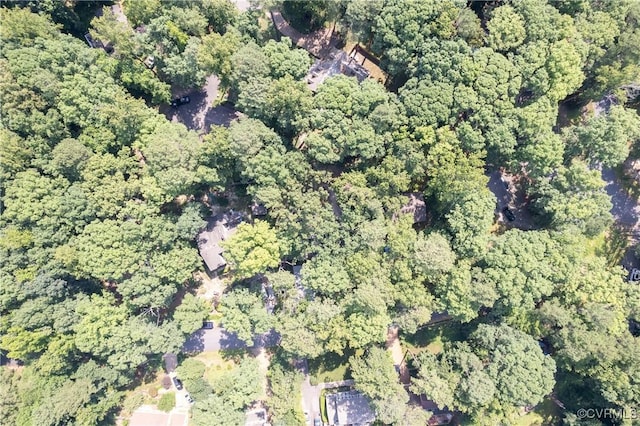 3211 Fox Chase Dr, Midlothian, VA 23112 - view of property location with a forest