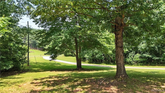 209 Oak Hill Rd, Prospect, VA 23960 - view of green lawn