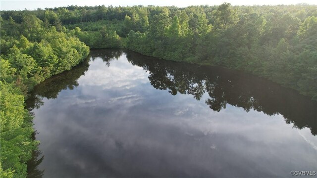 878 Dusty Rd, Crewe, VA 23930 - photo 22
