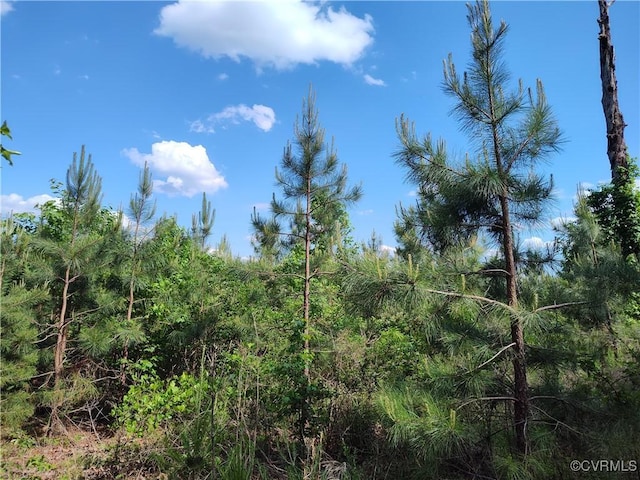878 Dusty Rd, Crewe, VA 23930 - photo 25