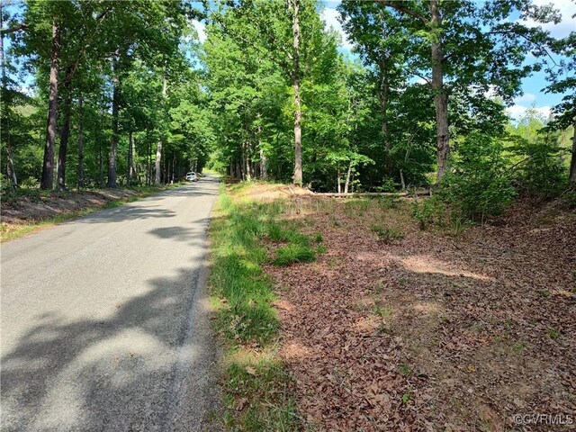 878 Dusty Rd, Crewe, VA 23930 - photo 26