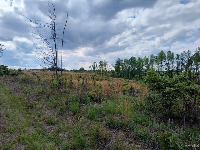 878 Dusty Rd, Crewe, VA 23930 - photo 27