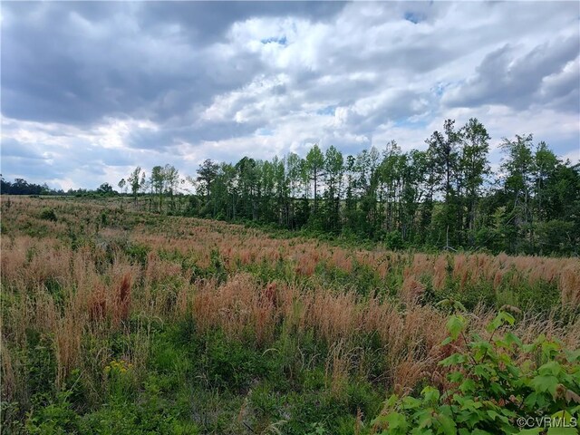 878 Dusty Rd, Crewe, VA 23930 - photo 29