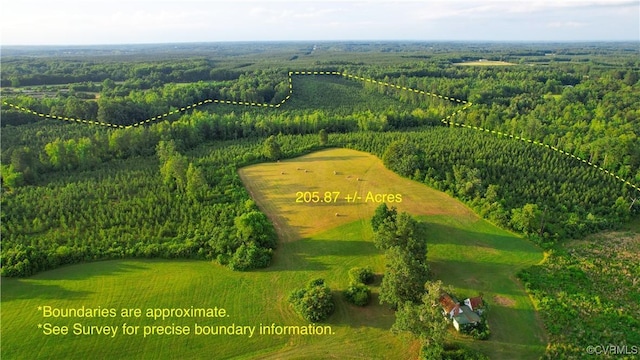 878 Dusty Rd, Crewe, VA 23930 - photo 3