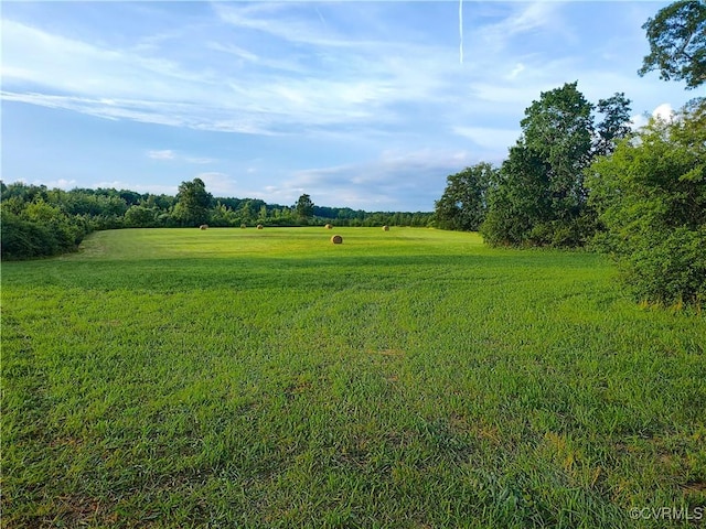 878 Dusty Rd, Crewe, VA 23930 - photo 7