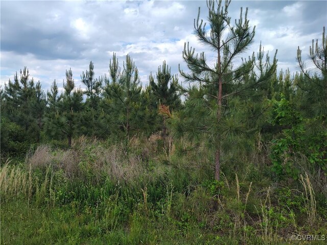878 Dusty Rd, Crewe, VA 23930 - photo 33