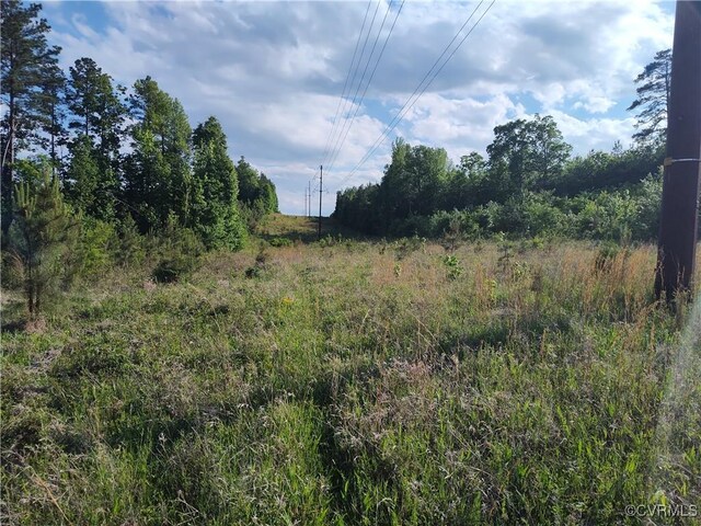 878 Dusty Rd, Crewe, VA 23930 - photo 35