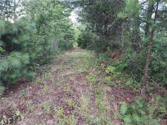 878 Dusty Rd, Crewe, VA 23930 - photo 39