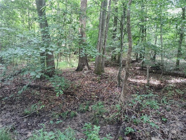 878 Dusty Rd, Crewe, VA 23930 - photo 40