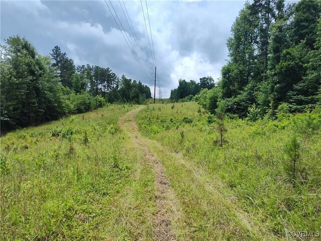878 Dusty Rd, Crewe, VA 23930 - photo 42