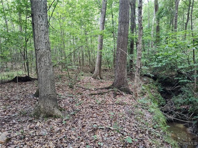 878 Dusty Rd, Crewe, VA 23930 - photo 43
