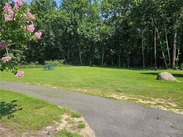 2713 Brookforest Rd, Midlothian, VA 23112 - surrounding community featuring a lawn