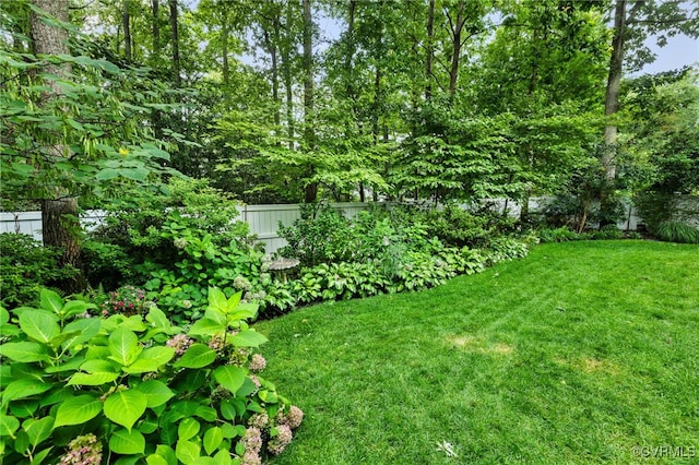 2819 Live Oak Ln, Midlothian, VA 23113 - photo 45