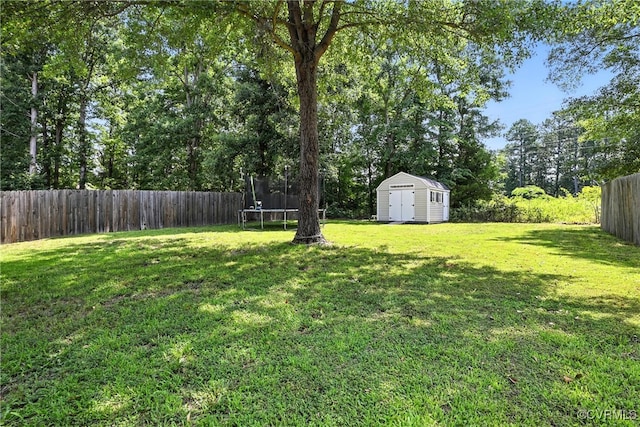 16731 Amherst Oak Ln, Chesterfield, VA 23834 - fenced backyard with a storage shed and a trampoline