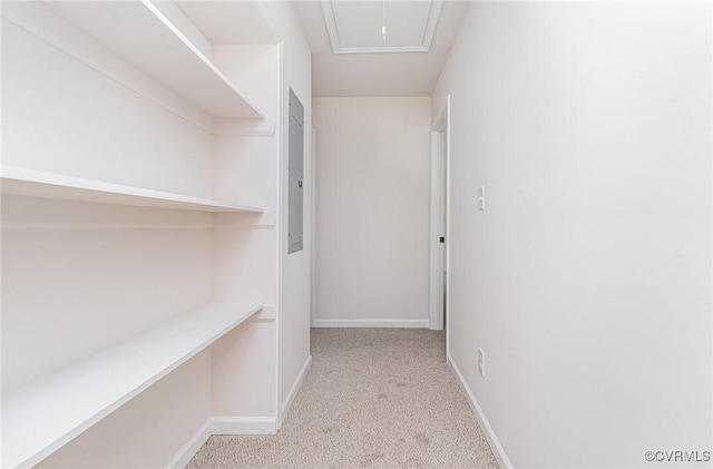 24 Hummingbird Ln, Cumberland, VA 23040 - hall with carpet flooring and baseboards