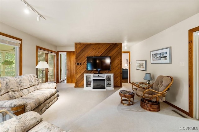 13030 River Hills Dr, Midlothian, VA 23113 - living area featuring carpet floors, rail lighting, and a glass covered fireplace