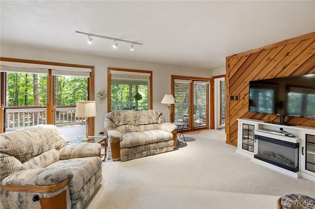 13030 River Hills Dr, Midlothian, VA 23113 - living room featuring track lighting and carpet flooring