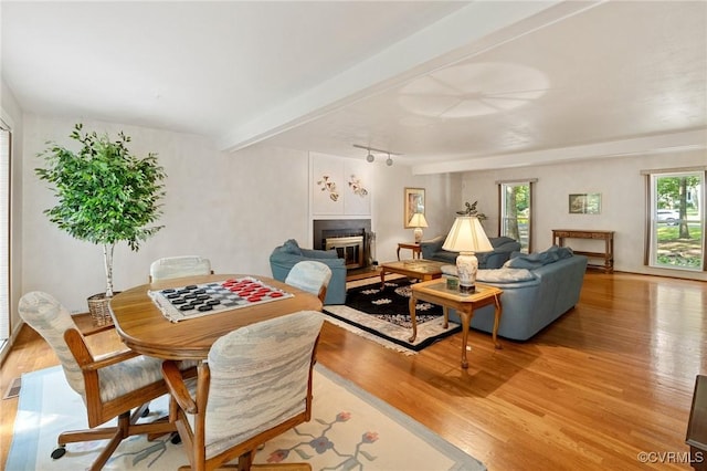13030 River Hills Dr, Midlothian, VA 23113 - dining area featuring light wood-type flooring, a fireplace, and track lighting