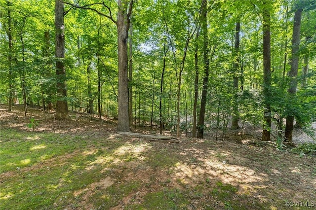 13030 River Hills Dr, Midlothian, VA 23113 - view of woods