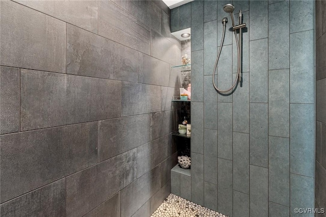 3719 Waverton Dr, Midlothian, VA 23112 - full bath featuring a tile shower