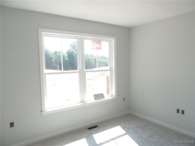 10320 White Oak Church Rd, Wilsons, VA 23894 - photo 21