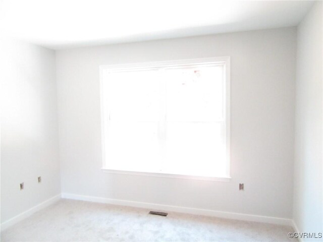 10320 White Oak Church Rd, Wilsons, VA 23894 - photo 19