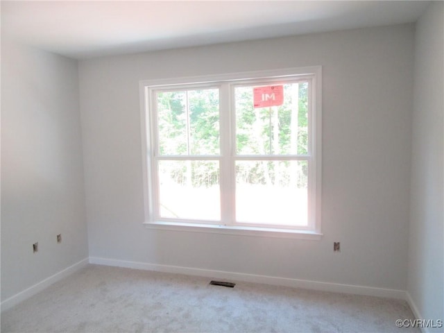 10320 White Oak Church Rd, Wilsons, VA 23894 - photo 20