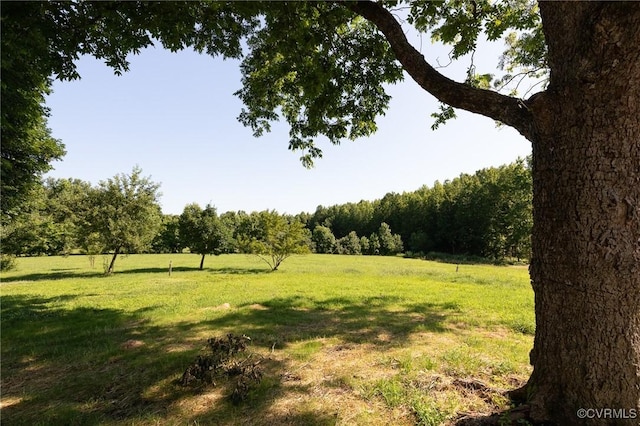 4700 New Kent, Quinton, VA 23141 - view of green lawn featuring a view of rural / pastoral area and a wooded view