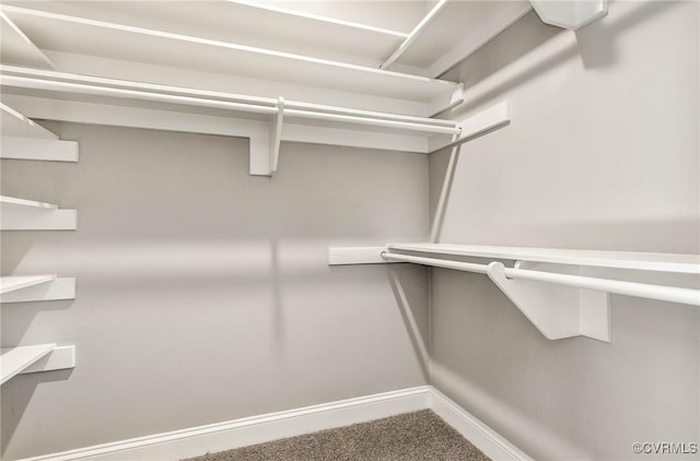 4700 New Kent, Quinton, VA 23141 - walk in closet with carpet