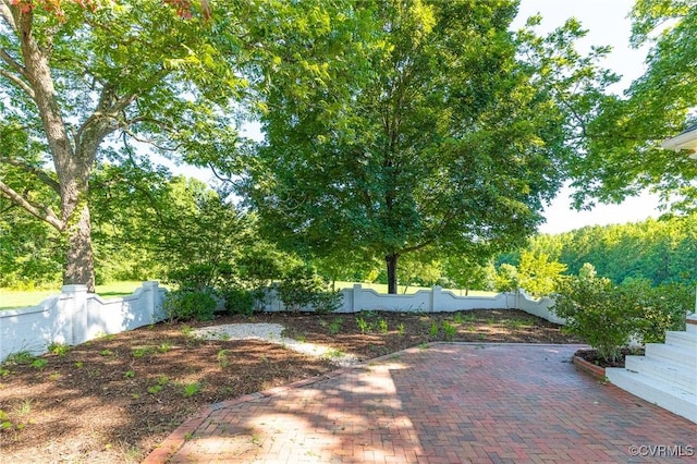 4700 New Kent, Quinton, VA 23141 - view of yard featuring a patio