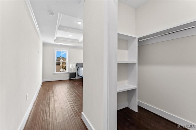 210 Minor St, Richmond, VA 23222 - walk in closet featuring wood finished floors and a raised ceiling