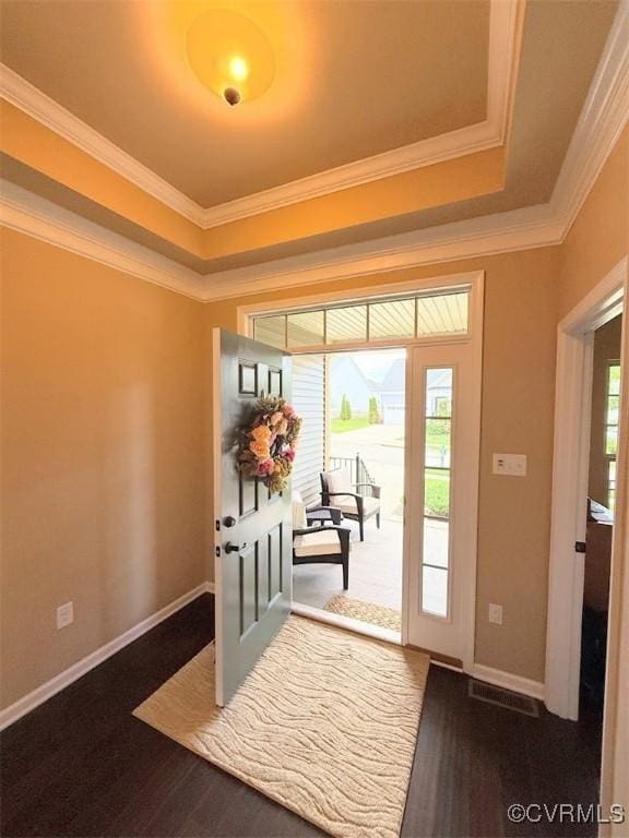 17419 Great Falls Cir, Moseley, VA 23120 - doorway with crown molding, a tray ceiling, and wood finished floors